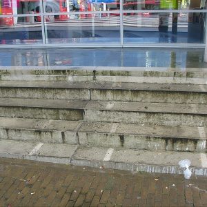 groene aanslag op betonnen trap